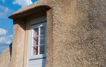 Stopes thatch roof disadvantages